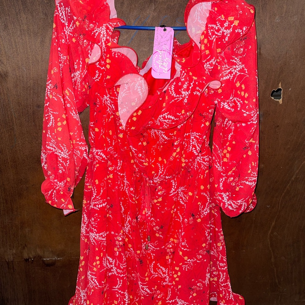 Southern Fried Chics Dress New With Tags